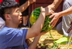 吃瓜捕娱乐,揭秘娱乐圈幕后故事