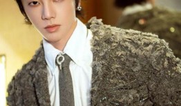 娱乐圈吃瓜爆料博主华晨宇,娱乐圈爆料背后的真相揭秘