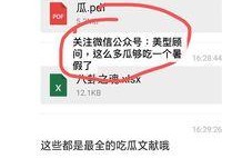 娱乐圈吃瓜pdf文件,PDF文件深度解析